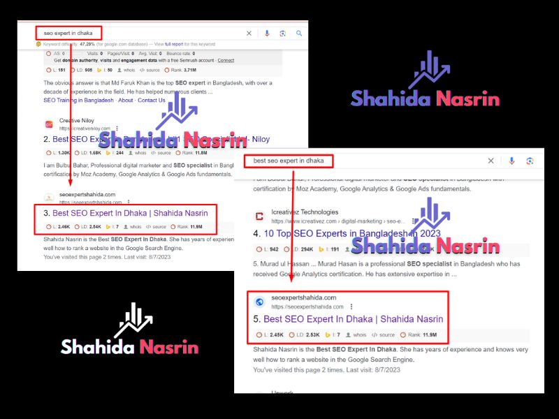 SEO expert shahida