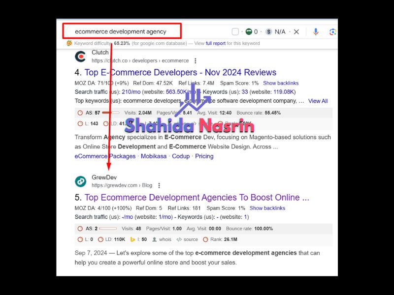 SEO expert shahida